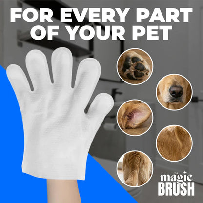 Pet Wiping Gloves (6 Pack)