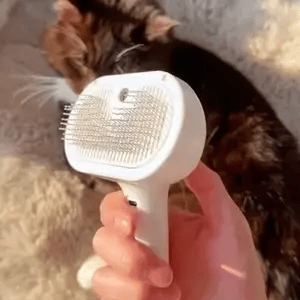 Magic Grooming Brush