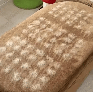 The Magic Brush™