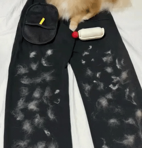 The Magic Brush™