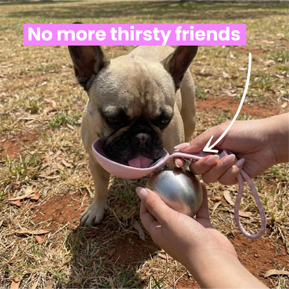 Pawlino™ Dog Water Bottle + Bowl